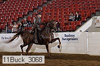 11buck_3068 proof