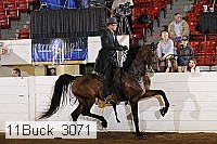 11buck_3071 proof