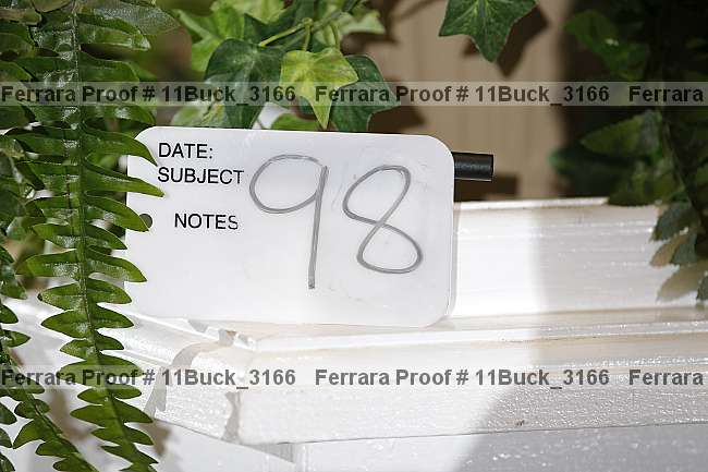 Proof 11buck_3166