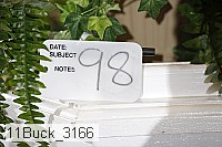 11buck_3166 proof