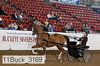11buck_3169 proof