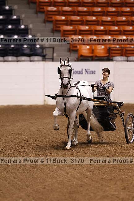 Proof 11buck_3170