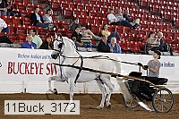 11buck_3172 proof