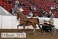 11buck_3175 proof