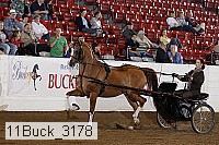 11buck_3178 proof