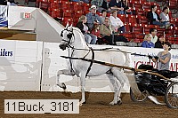 11buck_3181 proof
