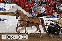 11buck_3182 proof