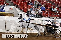 11buck_3183 proof