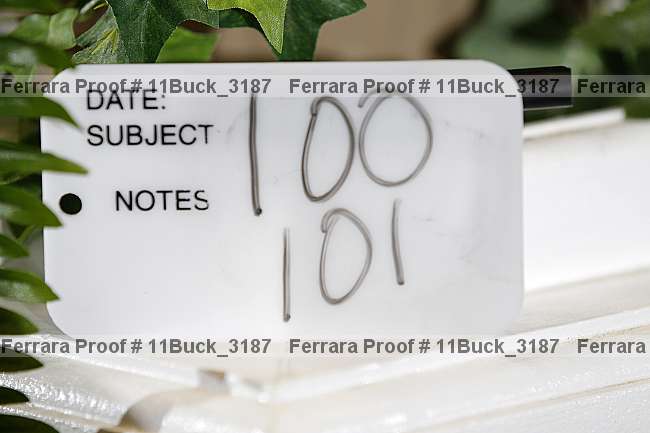 Proof 11buck_3187
