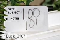 11buck_3187 proof
