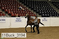 11buck_3194 proof