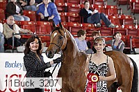 11buck_3207 proof
