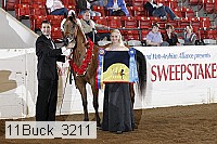 11buck_3211 proof