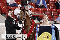 11buck_3213 proof