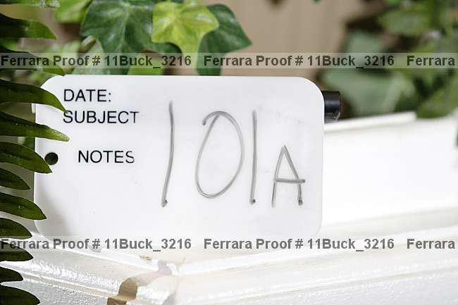 Proof 11buck_3216
