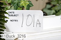 11buck_3216 proof