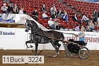 11buck_3224 proof