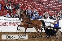 11buck_3227 proof
