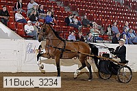 11buck_3234 proof