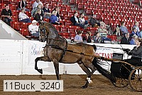 11buck_3240 proof