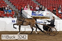 11buck_3242 proof