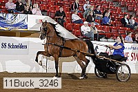 11buck_3246 proof