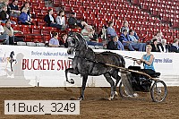 11buck_3249 proof