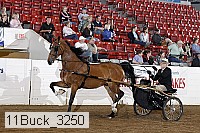 11buck_3250 proof