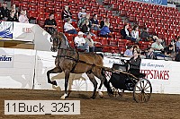 11buck_3251 proof