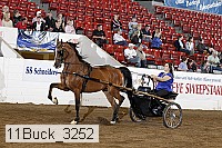 11buck_3252 proof