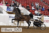 11buck_3253 proof