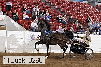 11buck_3260 proof