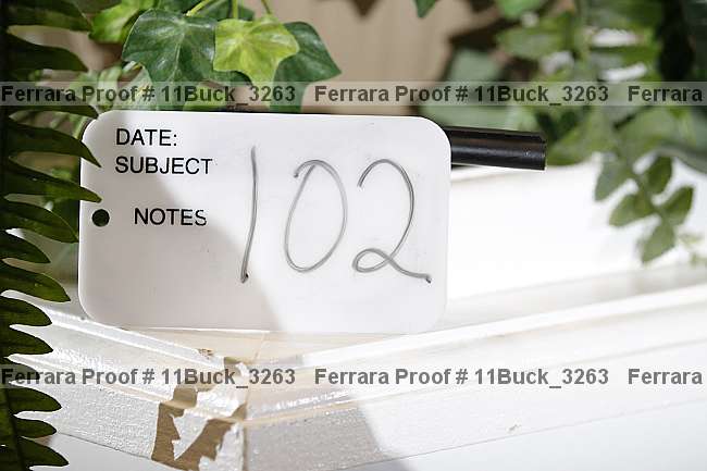 Proof 11buck_3263