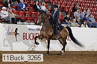 11buck_3265 proof