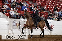 11buck_3267 proof