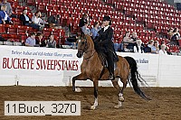 11buck_3270 proof