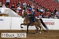 11buck_3275 proof