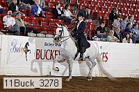 11buck_3278 proof