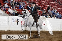 11buck_3284 proof