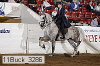 11buck_3286 proof
