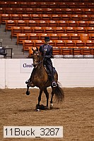 11buck_3287 proof
