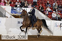 11buck_3290 proof
