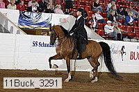 11buck_3291 proof