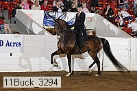 11buck_3294 proof