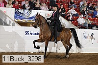 11buck_3298 proof