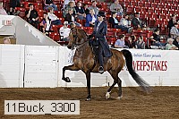 11buck_3300 proof