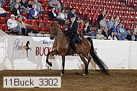 11buck_3302 proof