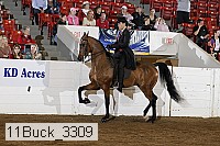 11buck_3309 proof