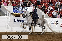 11buck_3311 proof