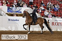 11buck_3312 proof